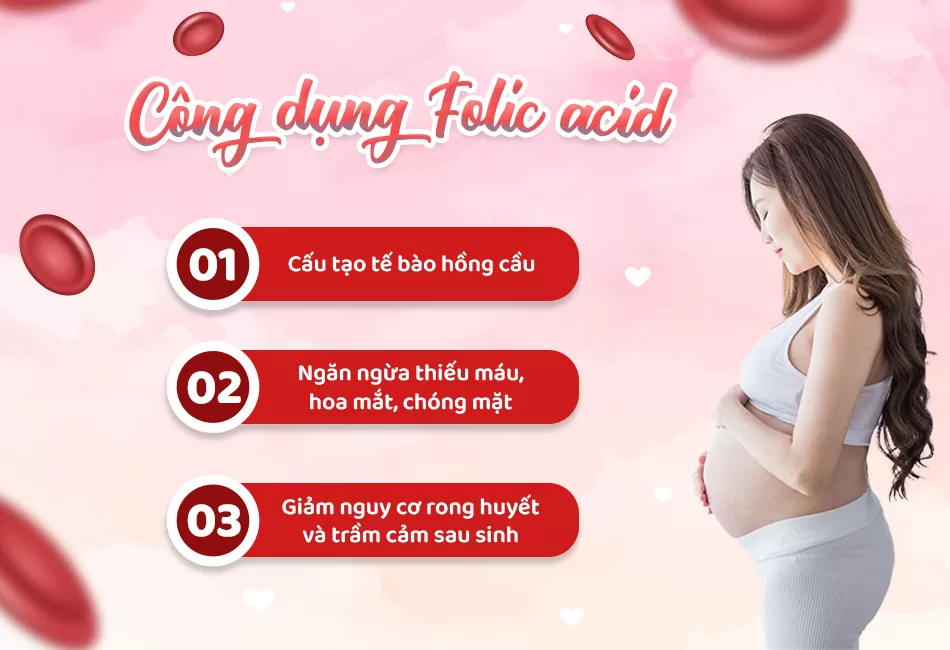 Folic Acid Holista Công dụng